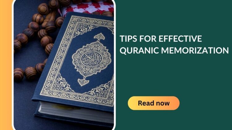 quranbeacon.com (1)
